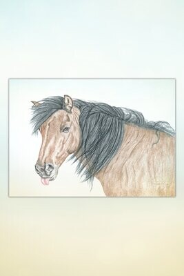 Kunst: Pferde für Kids #24 Freches Pony