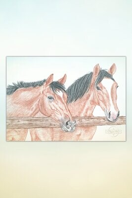 Kunst: Pferde für Kids #26 Zwei Schönheiten