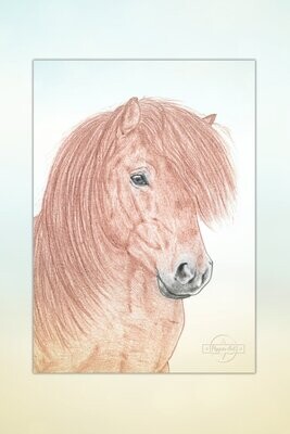 Kunst: Pferde für Kids #29 Liebes Pony