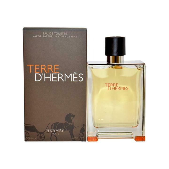 Hermes Terre d&#39; Hermes Eau de Toilette for Men هيرميس عطر رجالي