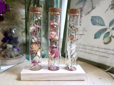 Fioles, miroirs et lettres en fleurs séchées