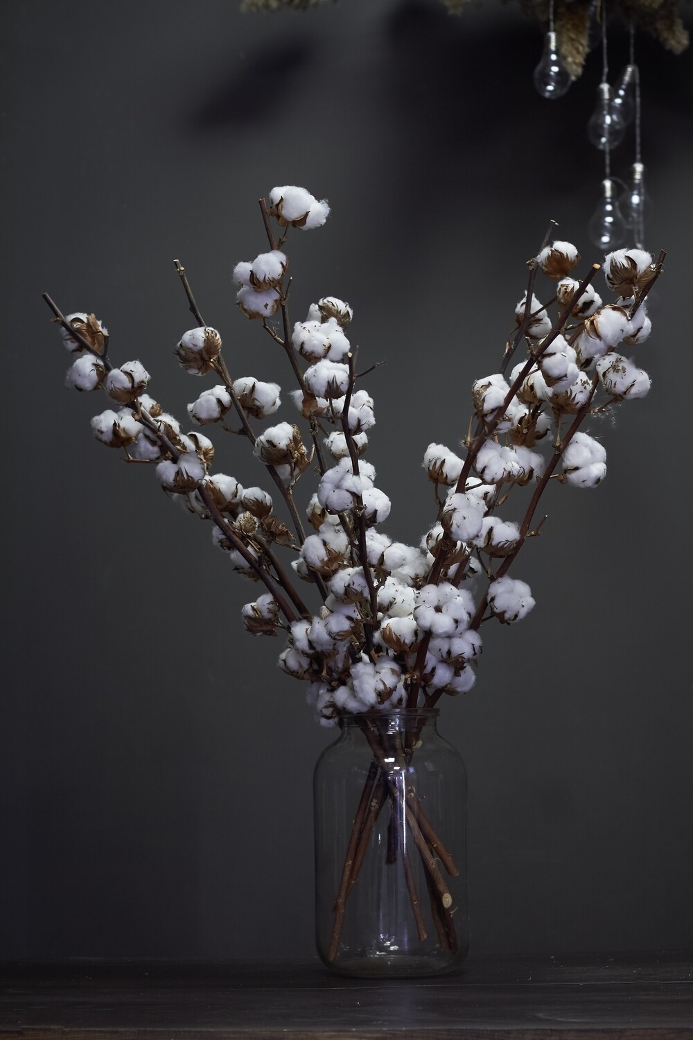 Branche de fleurs de coton