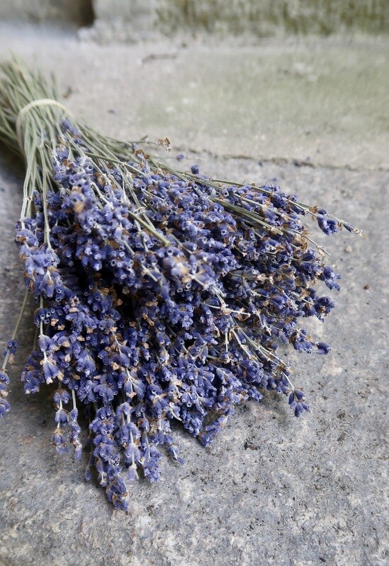 Lavande naturelle