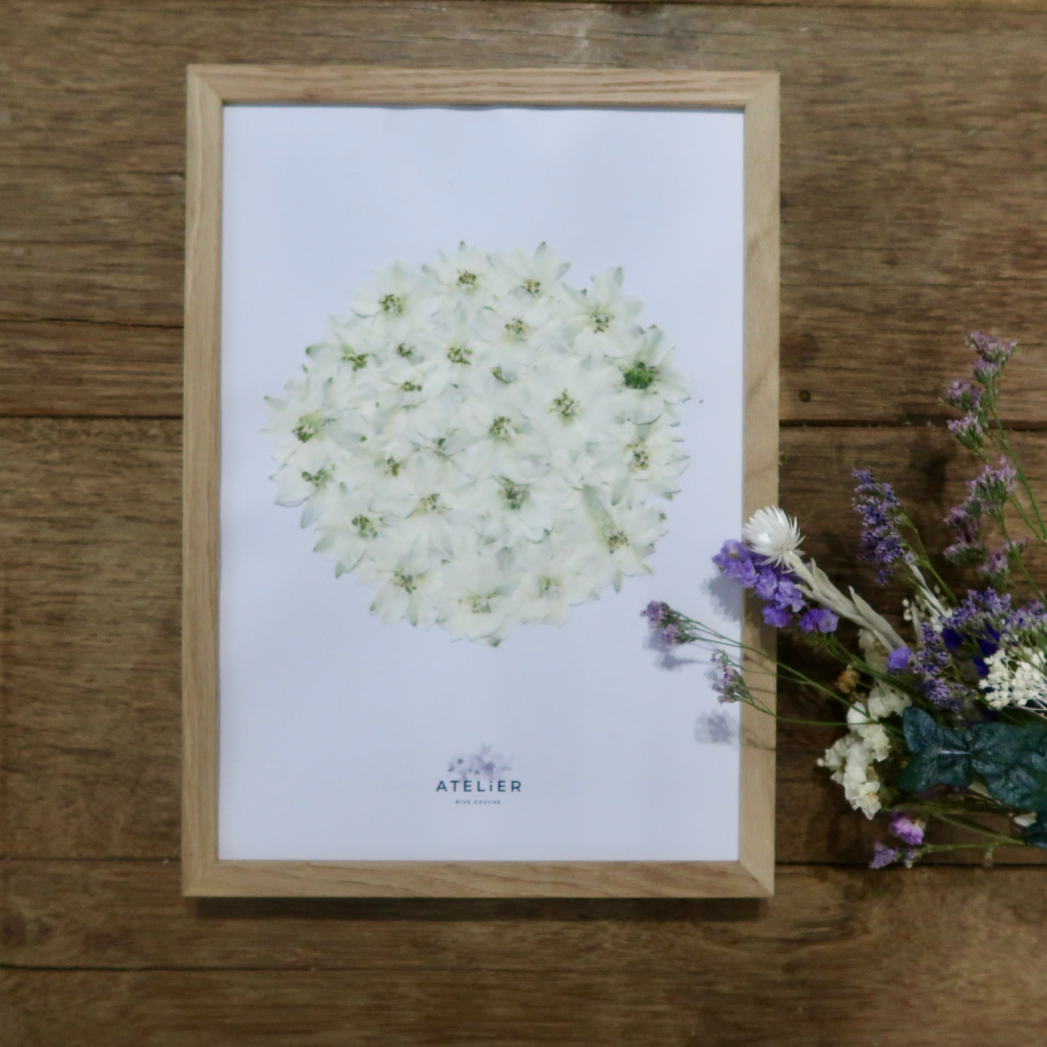 Collection printemps 2021, Herbier n°7