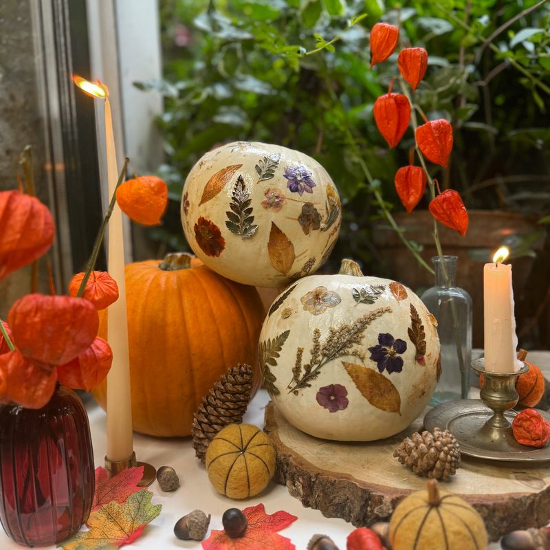 Atelier Citrouille fleurie (fleurs séchées)