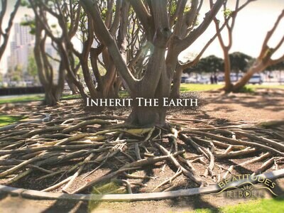 03/Beatitudes, Inherit The Earth (Matthew 5:5)