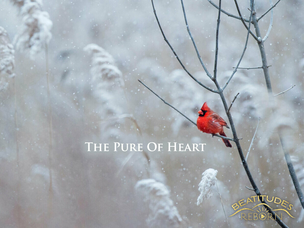 06/Beatitudes, The Pure of Heart (Matthew 5:8)