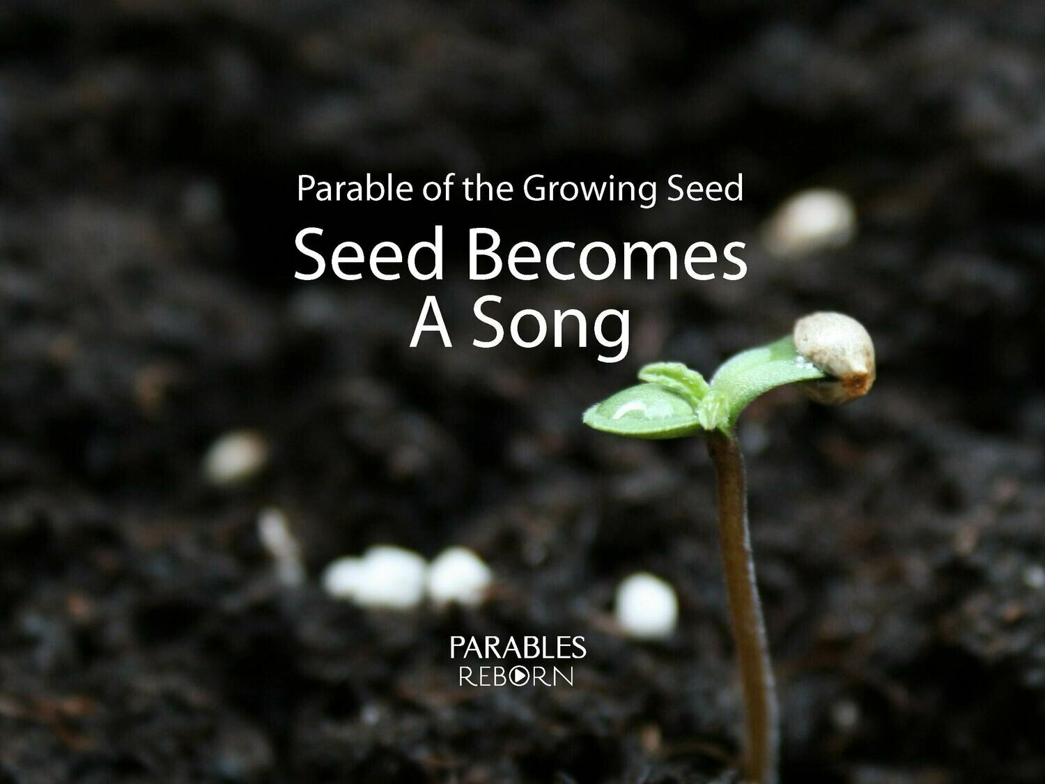 07 Parables Reborn, Seed Becomes a Song