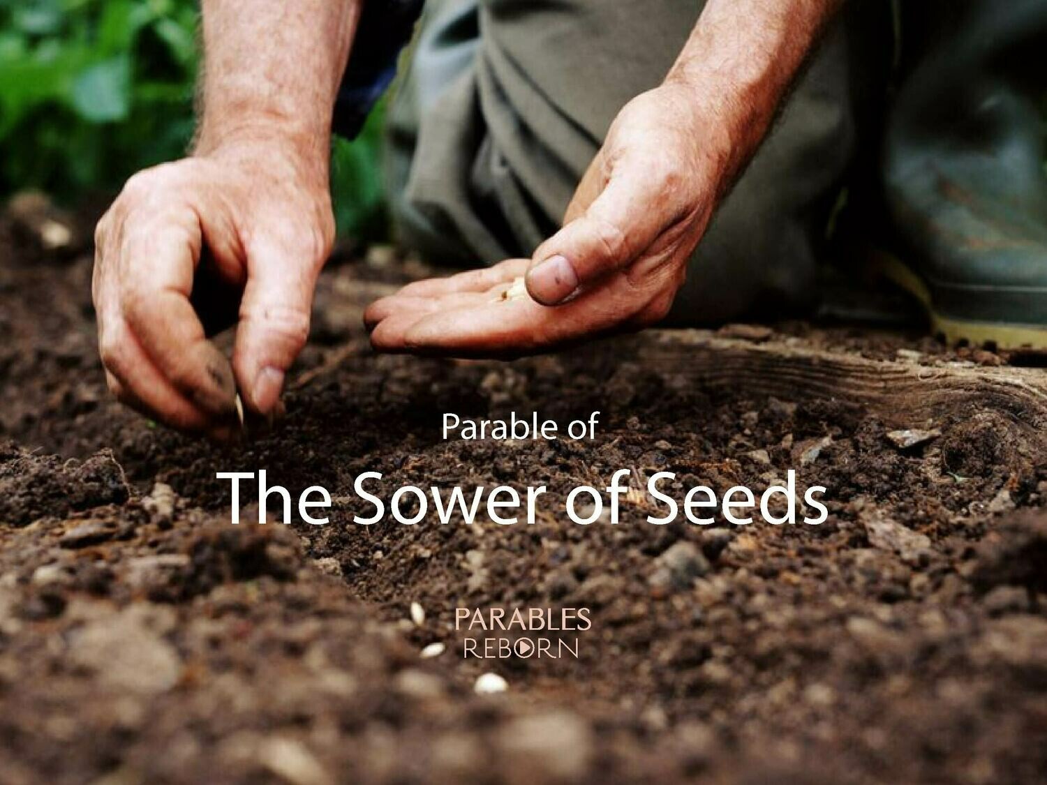 11 Parables Reborn, The Sower of Seeds