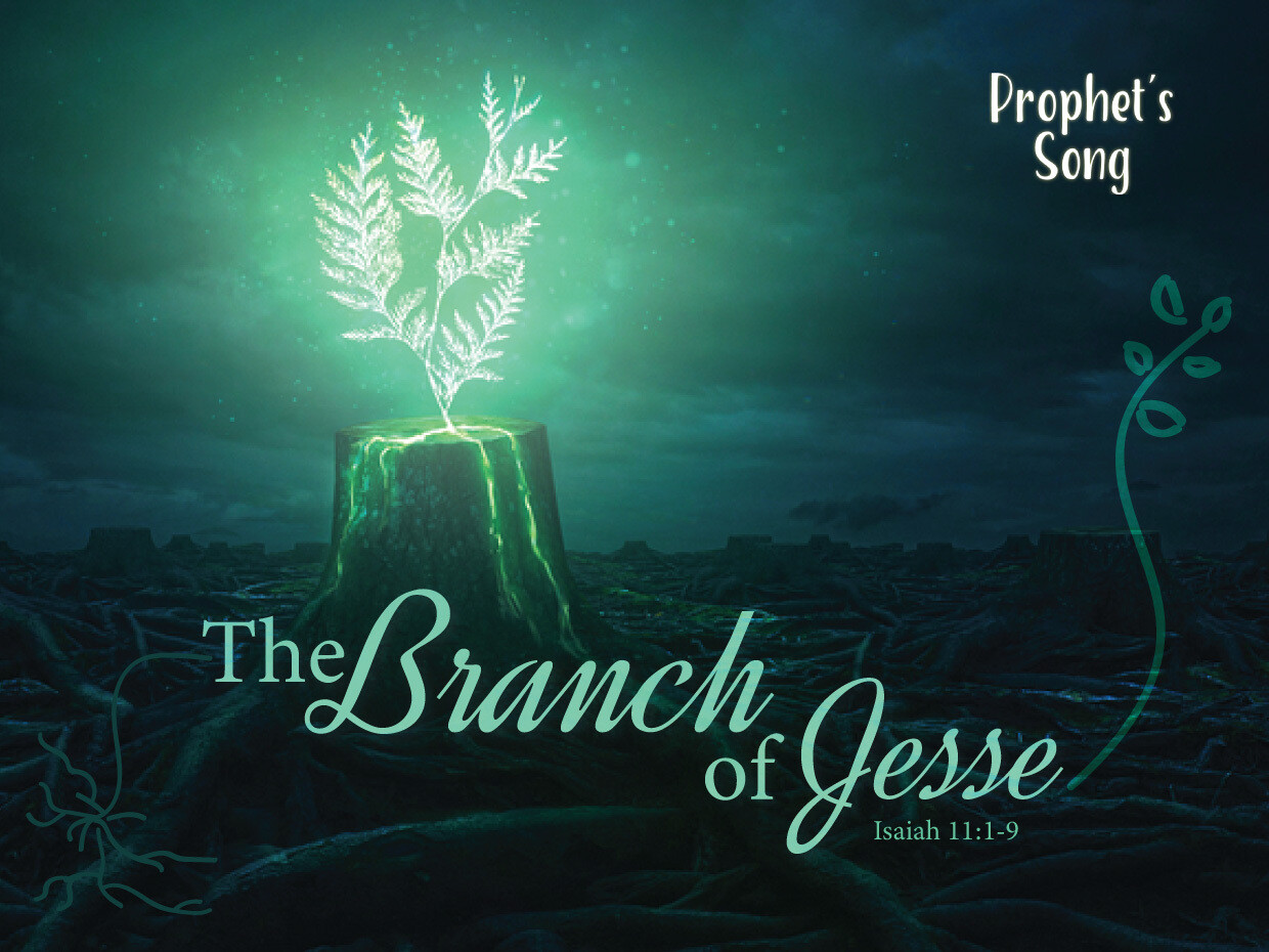 Prophet&#39;s Song - Branch of Jesse