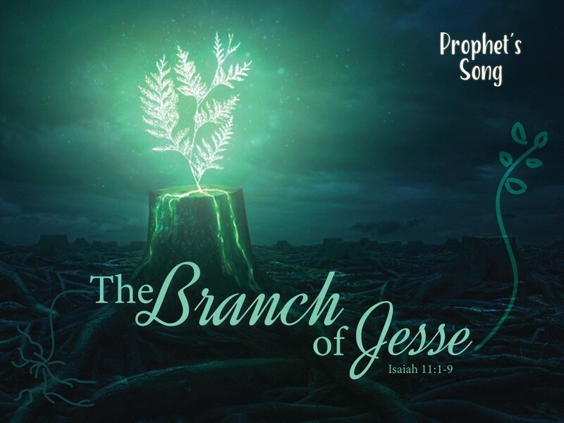Prophet&#39;s Song - Branch of Jesse