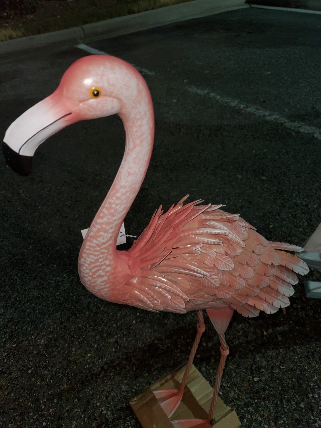 Metal medium  flamingo
