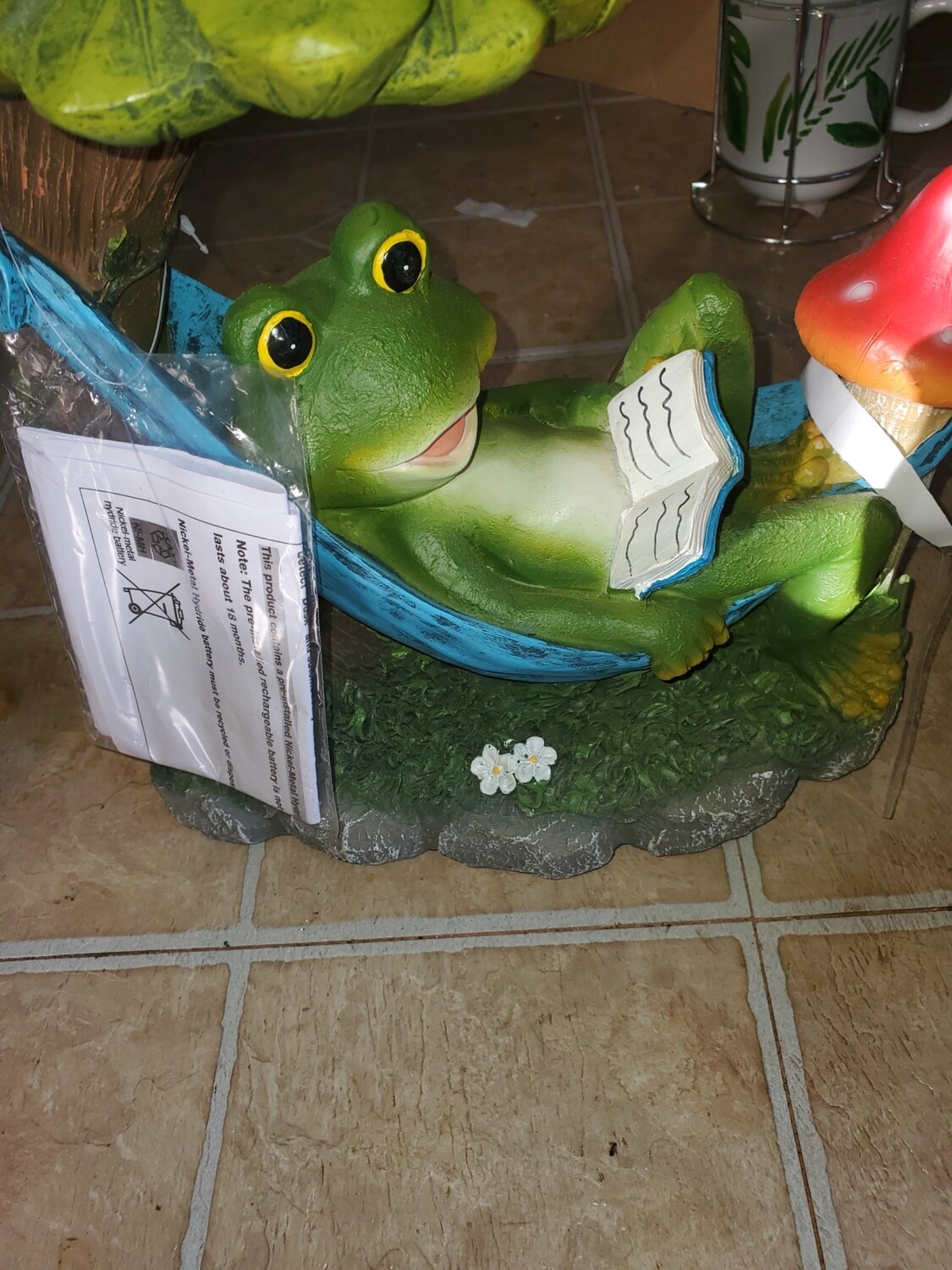 Turtle in hammocks