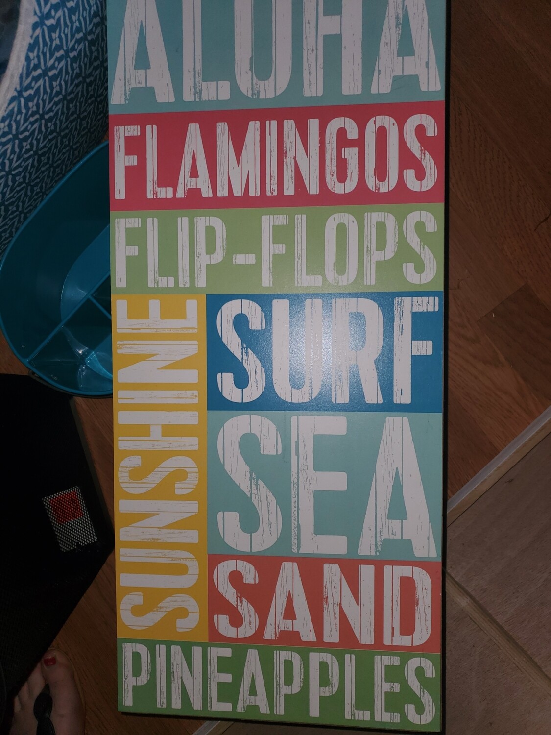 10x30 Flimingo Picture