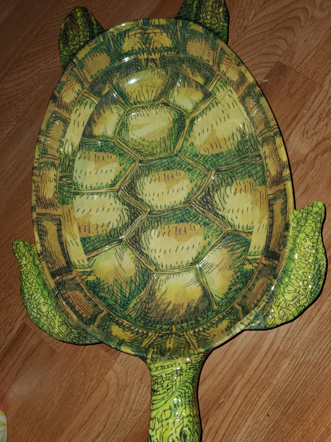 Turtle bowl