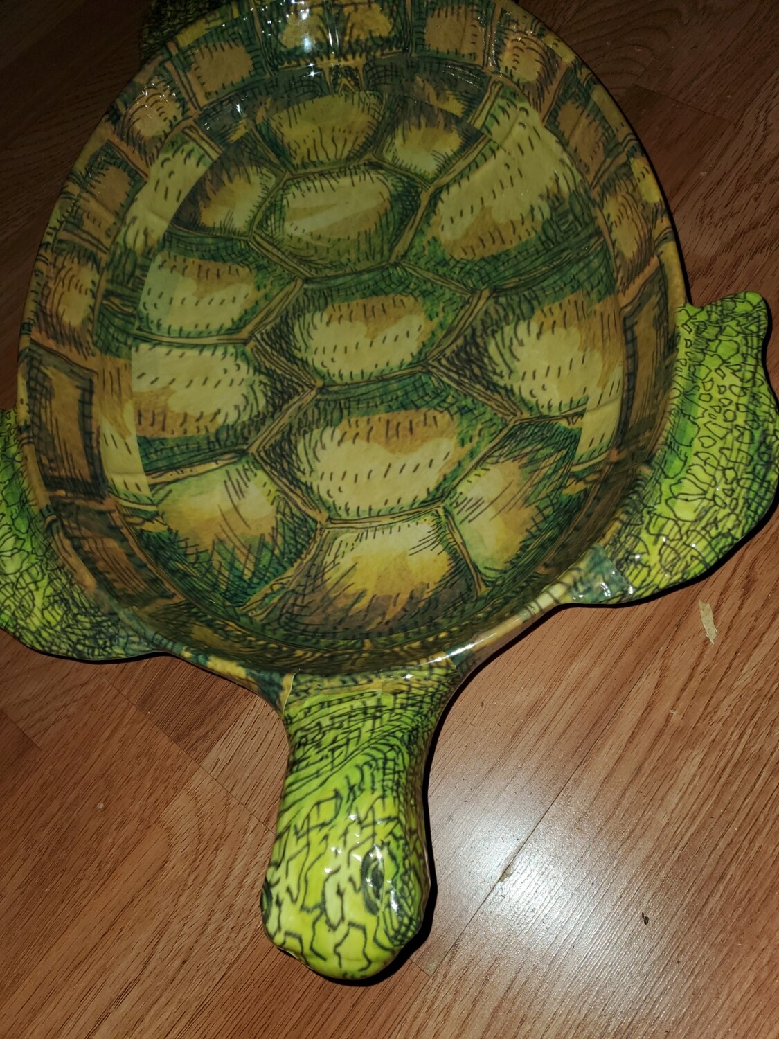 Turtle bowl