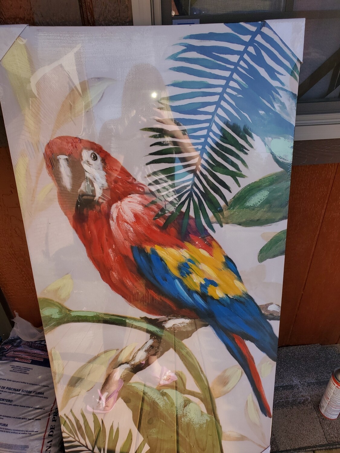 3 piece parrot wal decoration
