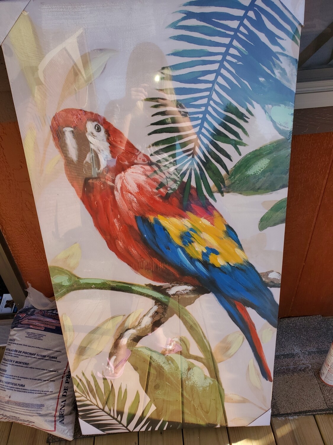 3 piece parrot wal decoration