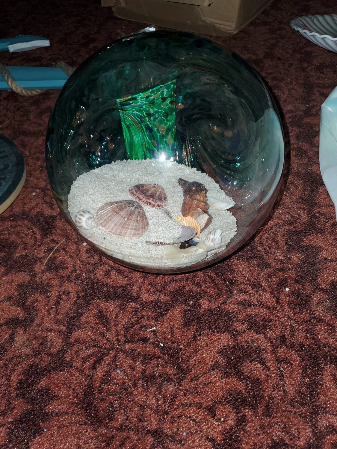 Globe beachshells