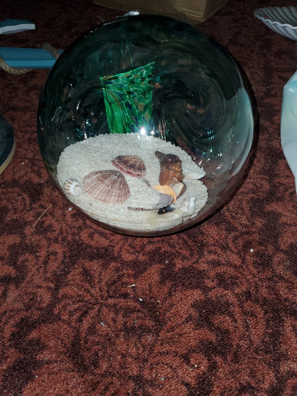 Globe beachshells
