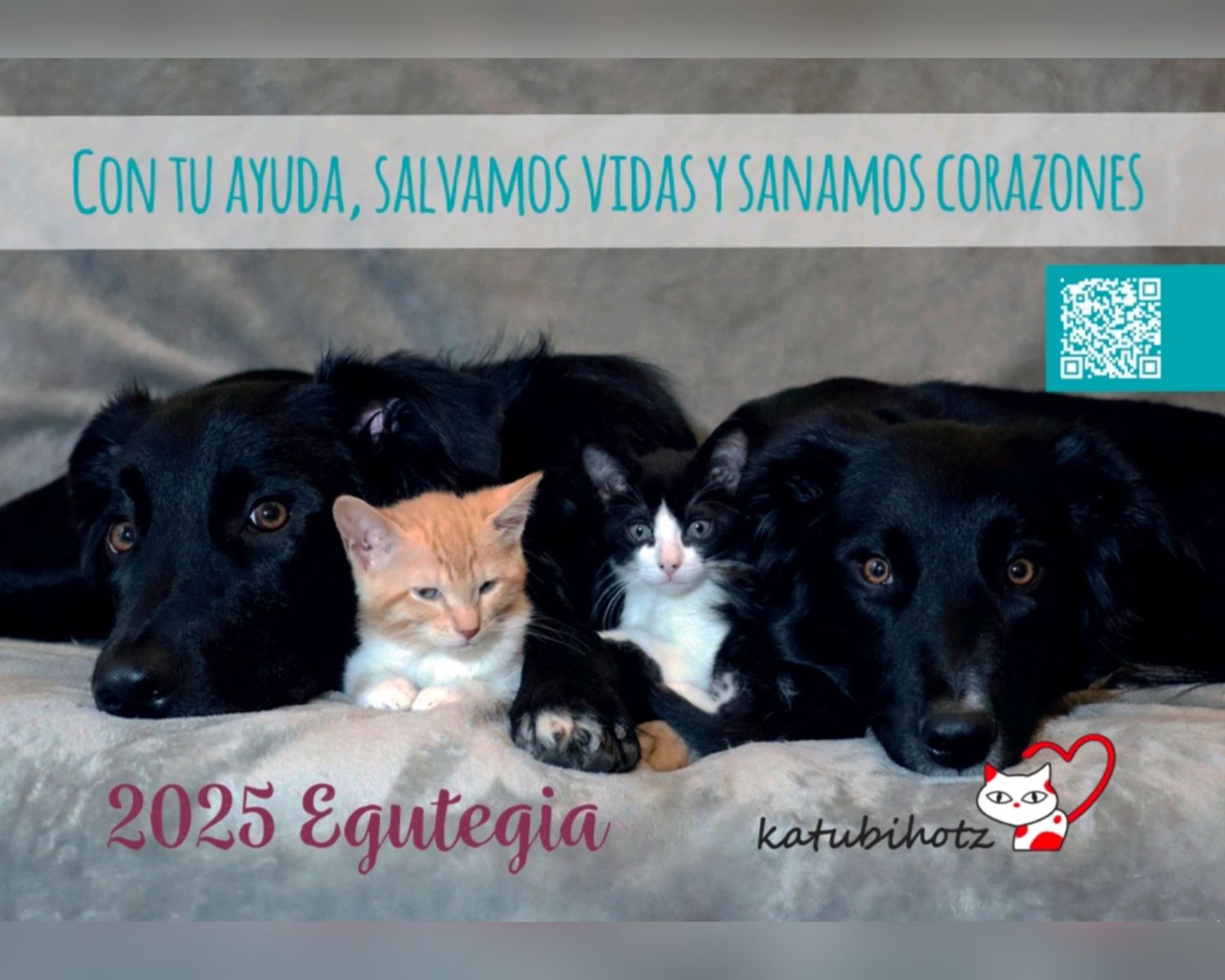 KATUCALENDARIO DE PARED 2025