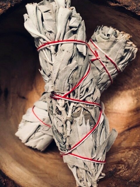 WHITE SAGE BUNDLE (Salvia apiana)