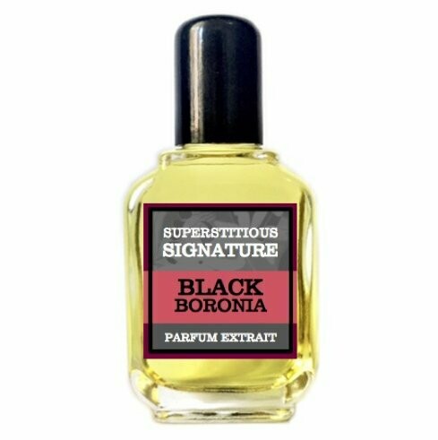 Black Boronia Parfum Extrait