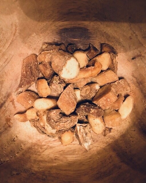 SOLOMON'S SEAL ROOT (Polygonatum odoratum)