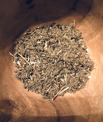 MUGWORT (Artemisia vulgaris)