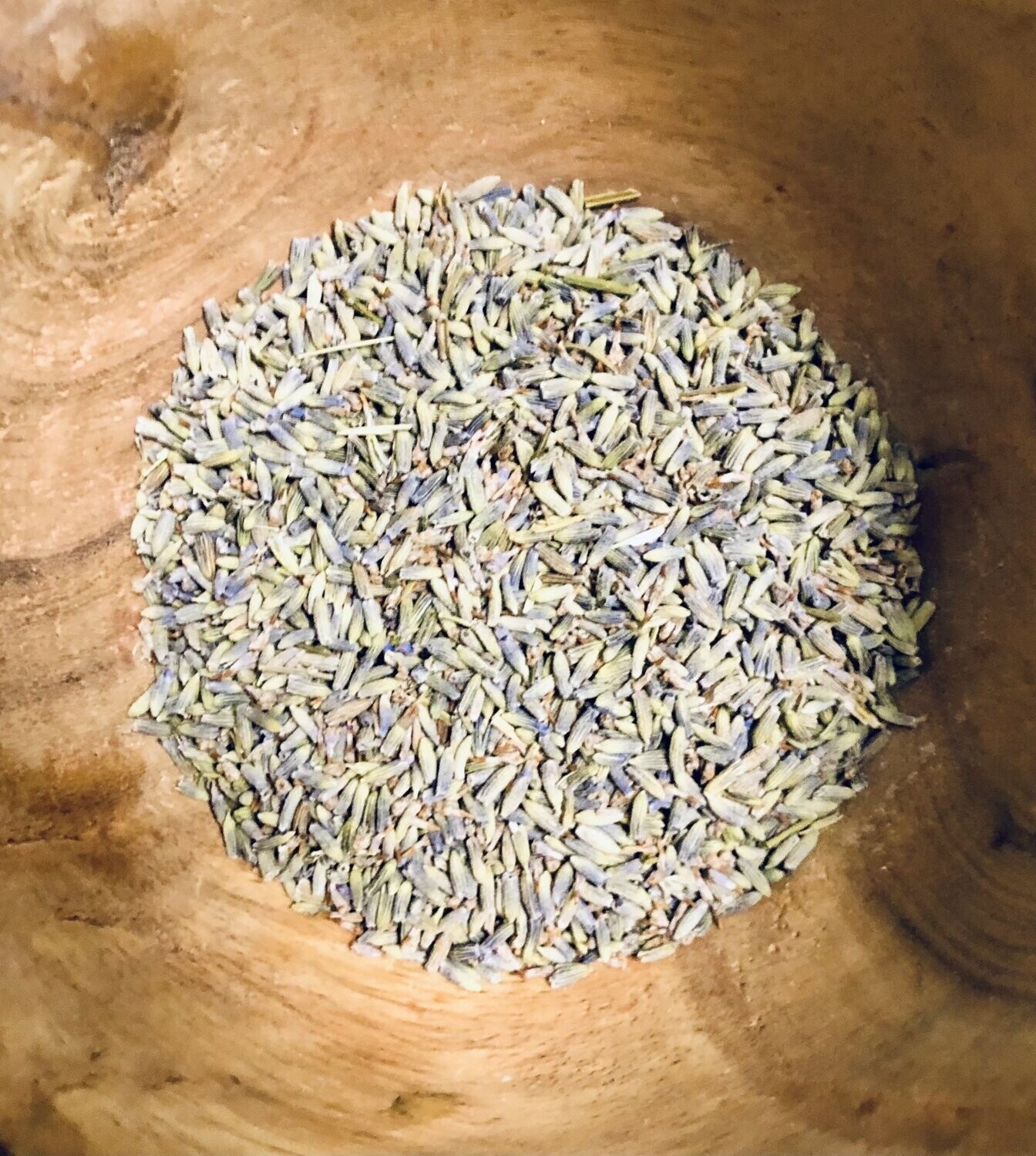 LAVENDER (Lavandula augustifolia)