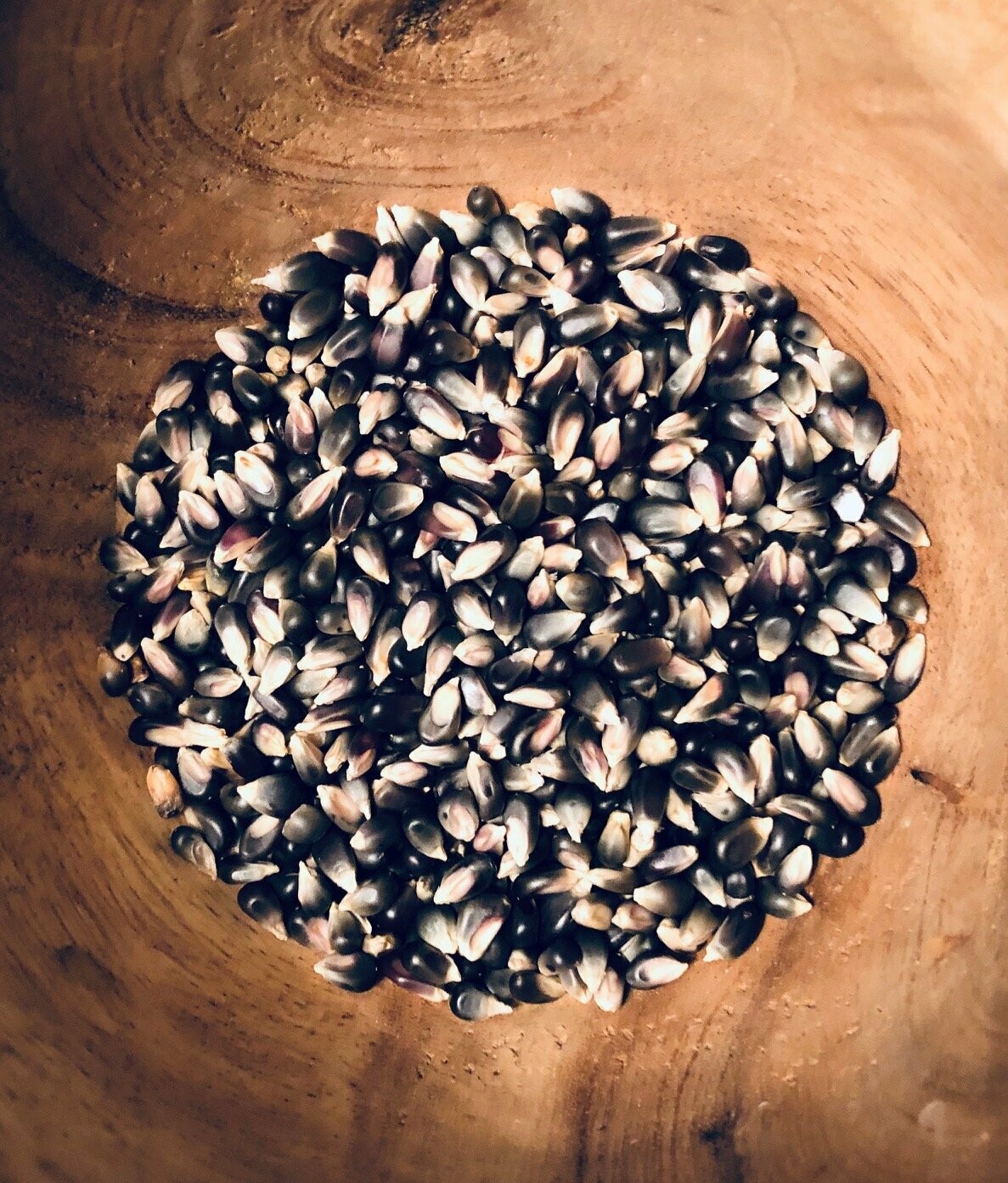 BLACK CORN BLACK CORN