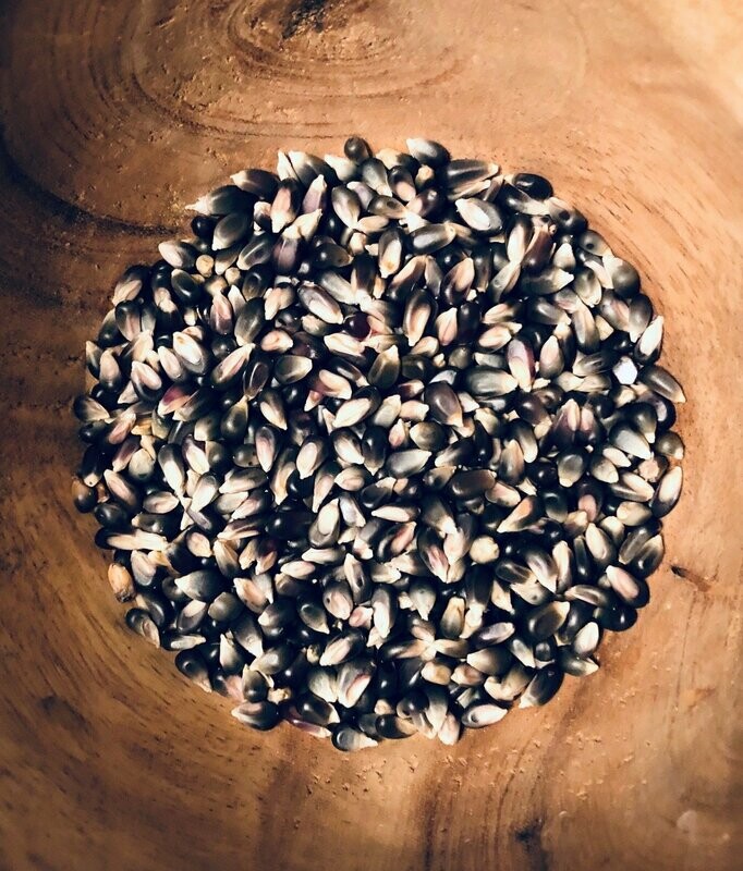 BLACK CORN BLACK CORN
