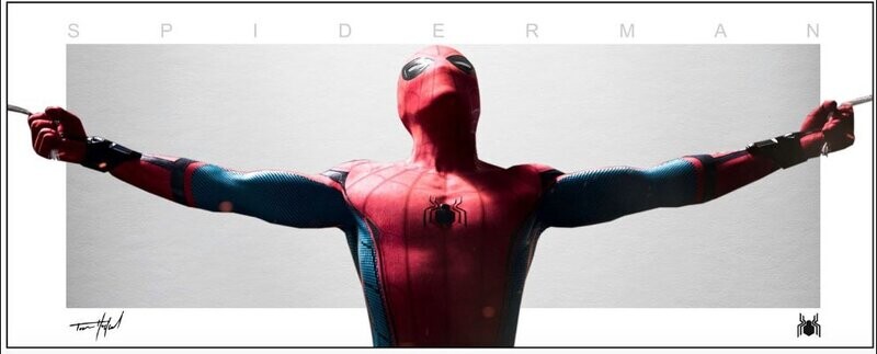 Spider-Man panoramic wall art featuring Marvel superhero in web-slinging pose