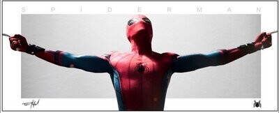 Spider-Man panoramic wall art featuring Marvel superhero in web-slinging pose