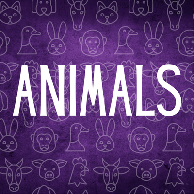 Animals