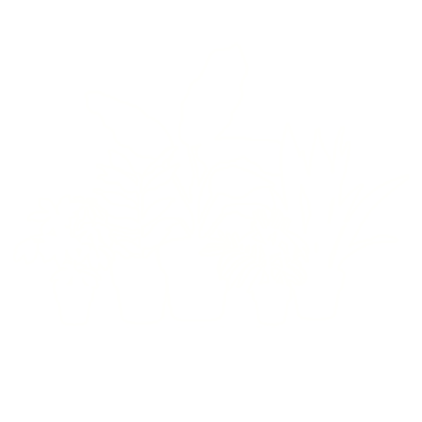 Plant Economy