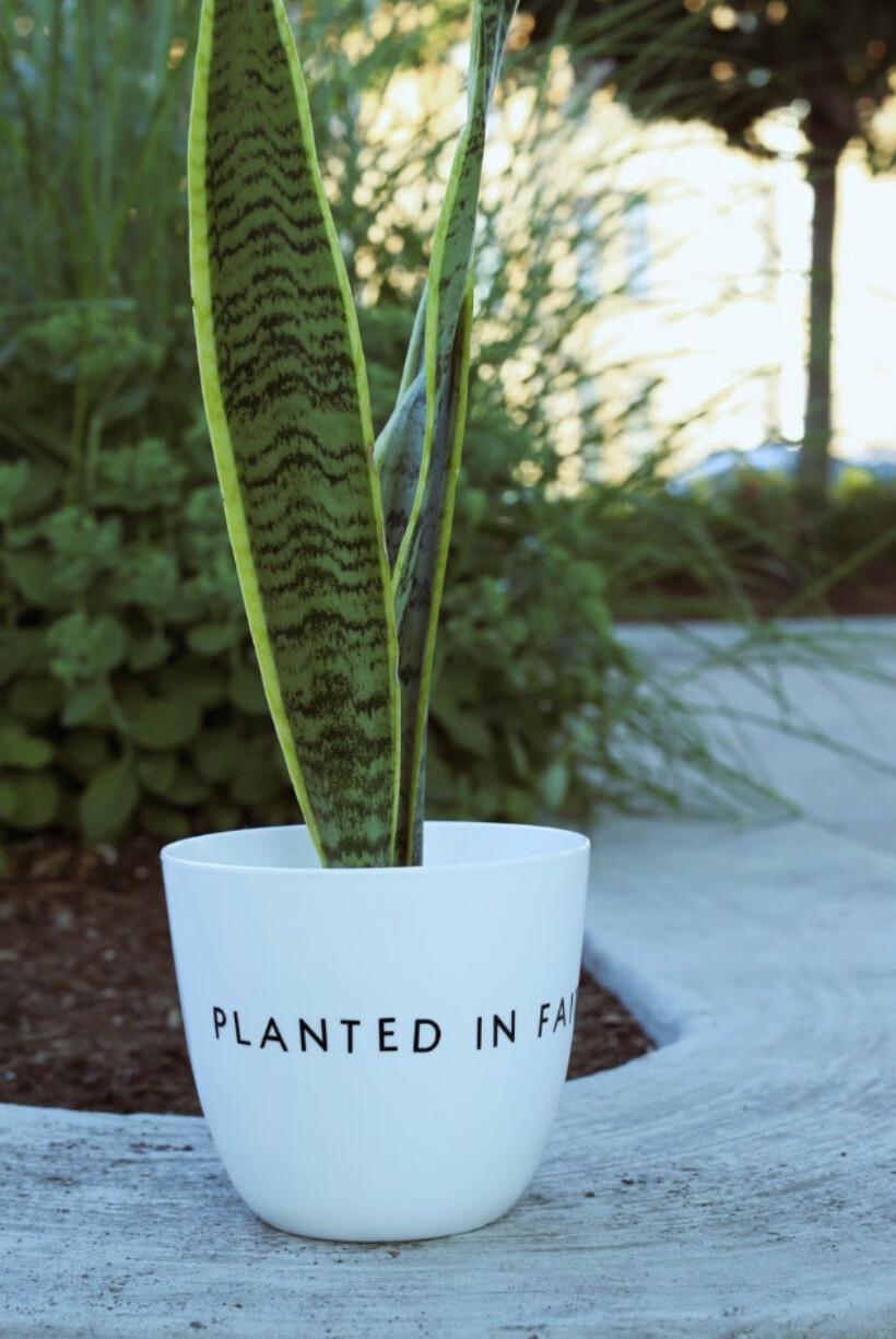 Planted in Faith (Black or White) Planter — 4.5”