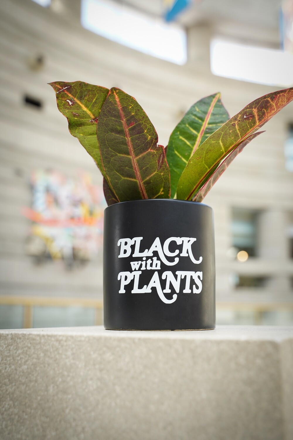 Ceramic Black With Plants Planter — 4”