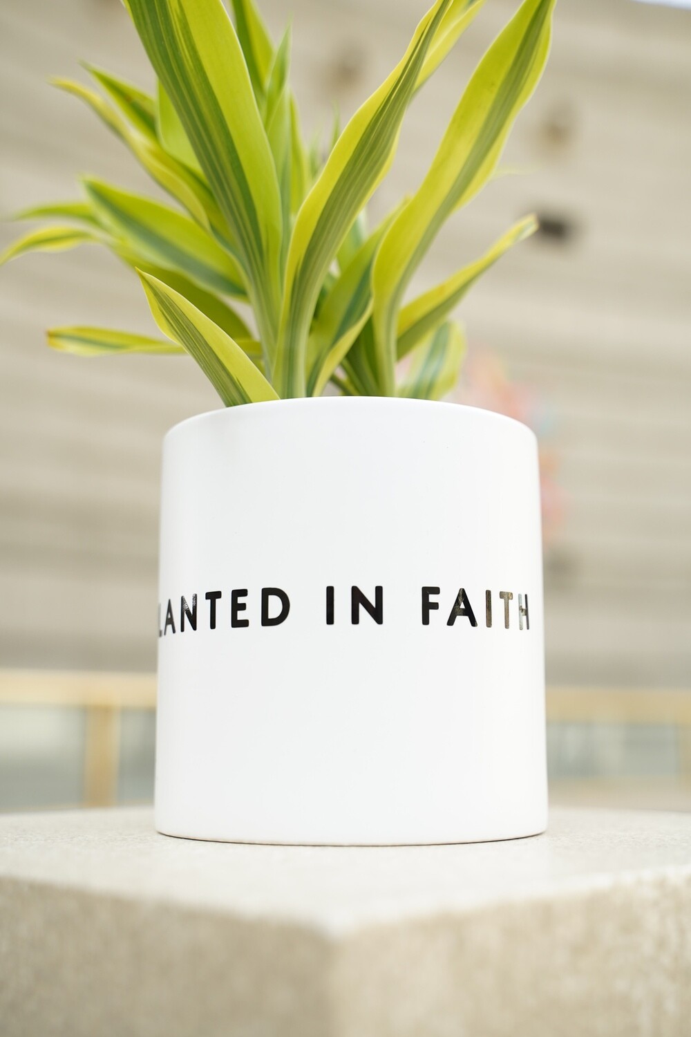 Ceramic Planted in Faith Planter (Various Sizes) — White