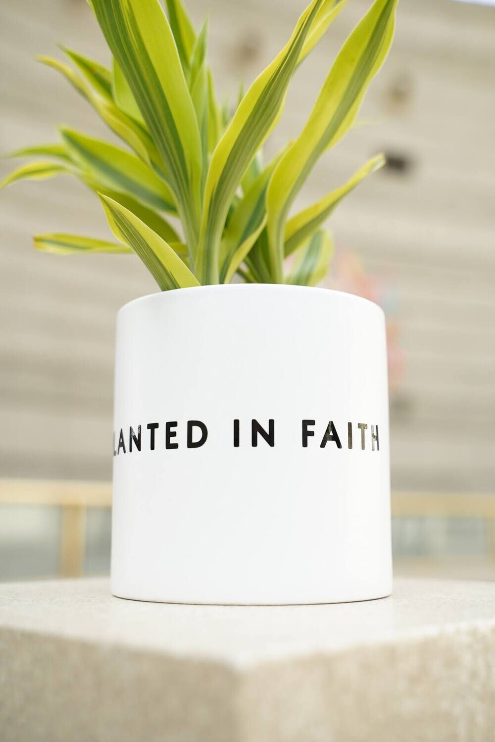 Ceramic Planted in Faith Planter (Select Sizes + Colors)