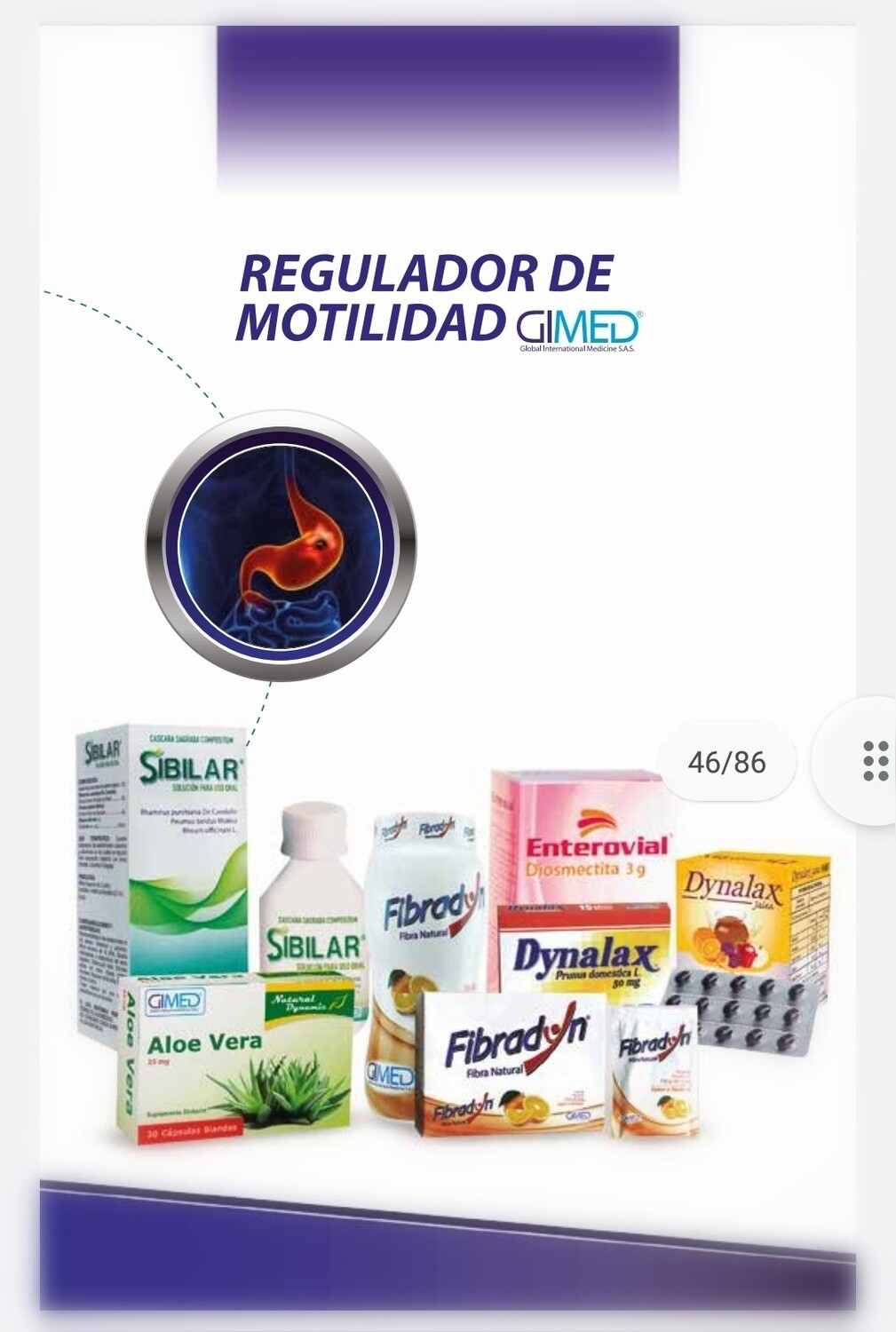 Sistema digestivo