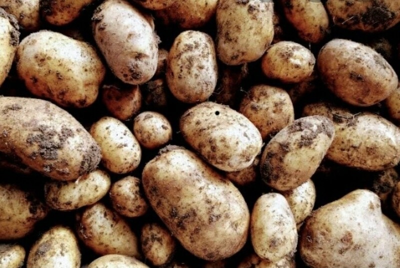 Maris piper potatoes  250g 