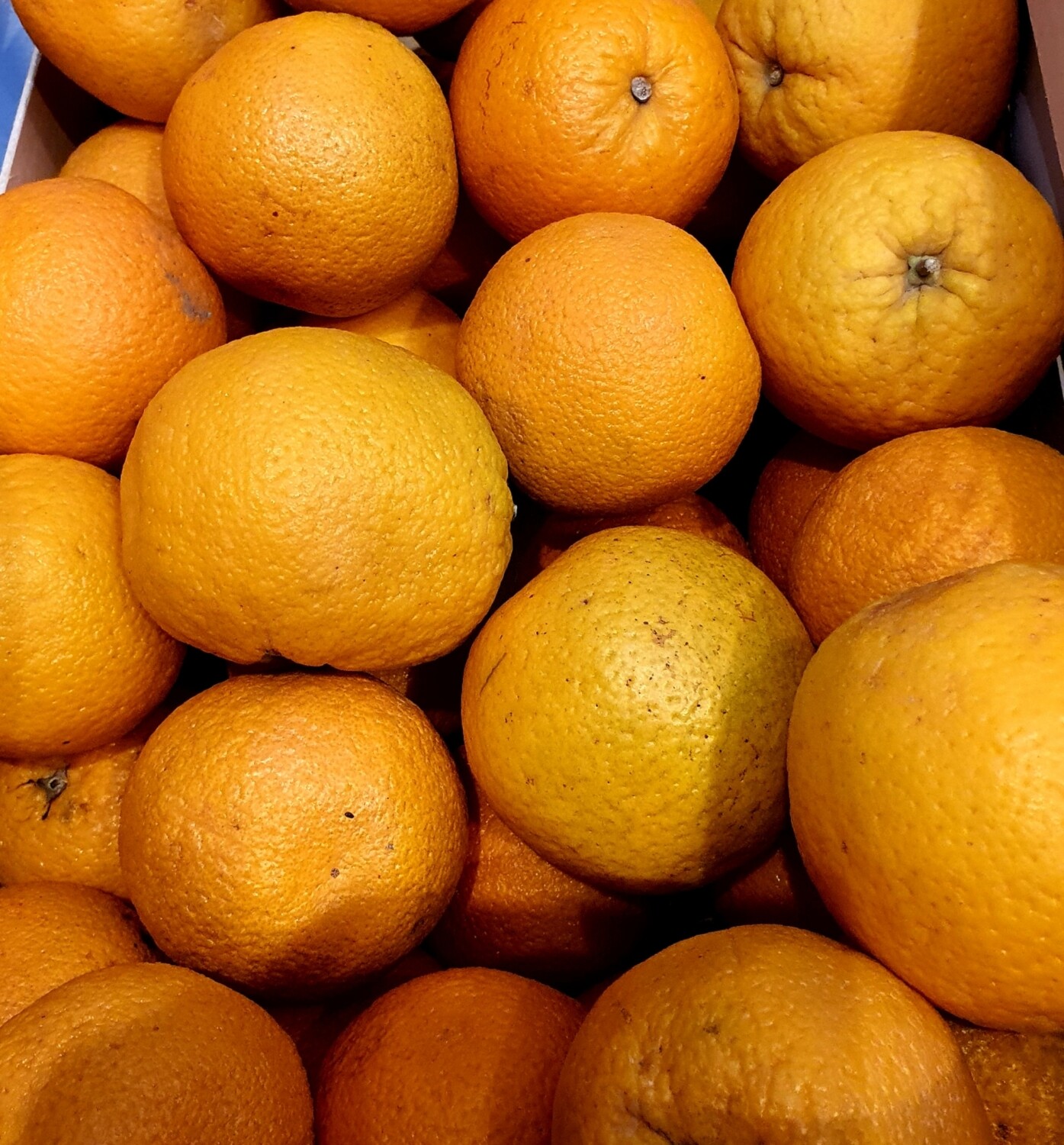 Large orange