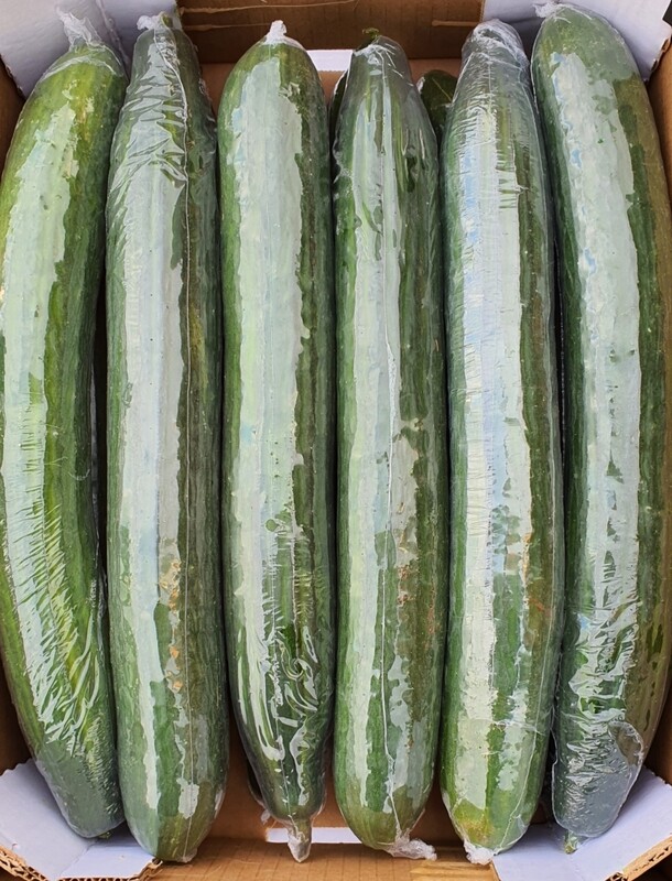 Cucumber