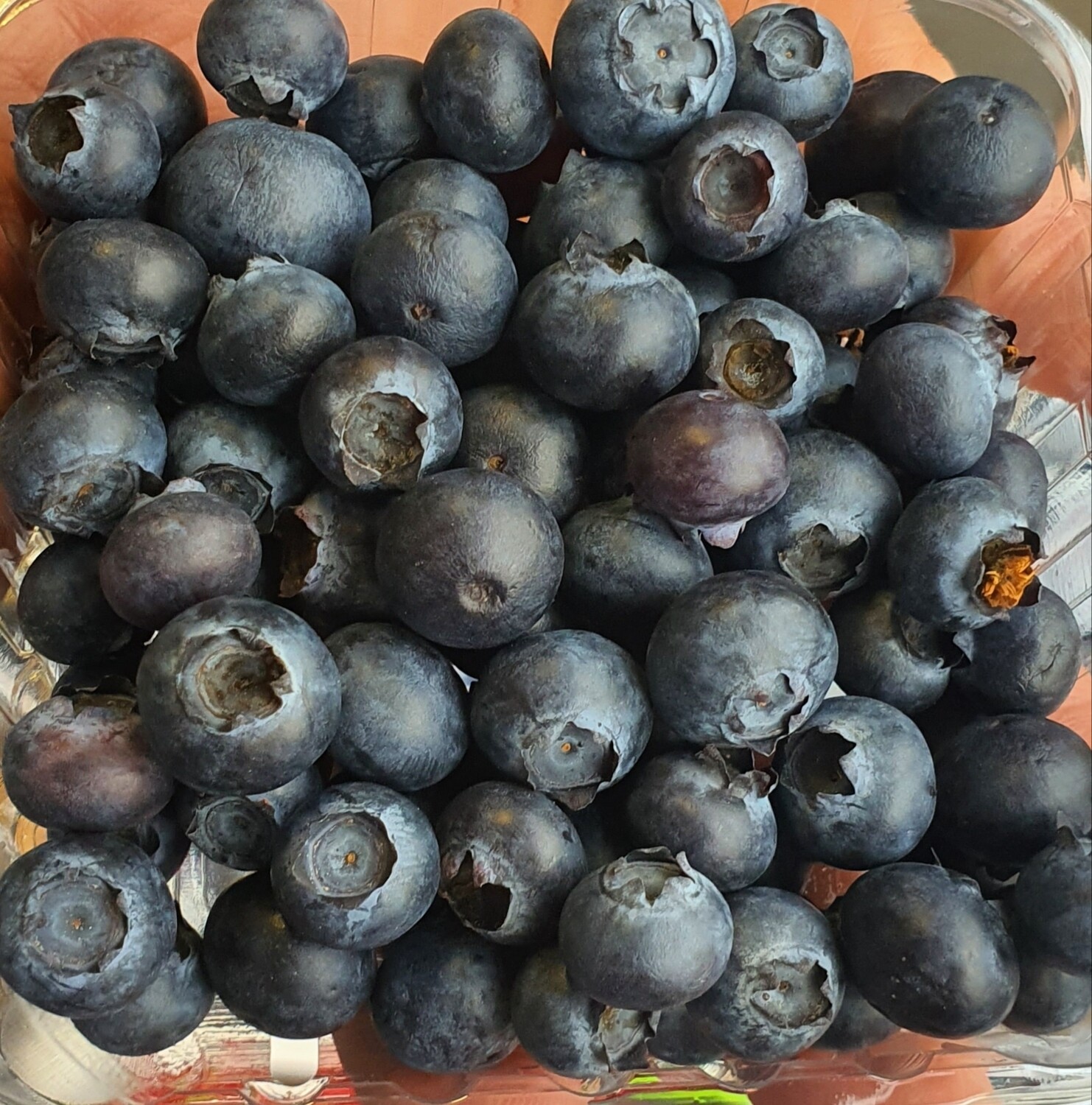 Blueberries 125g 