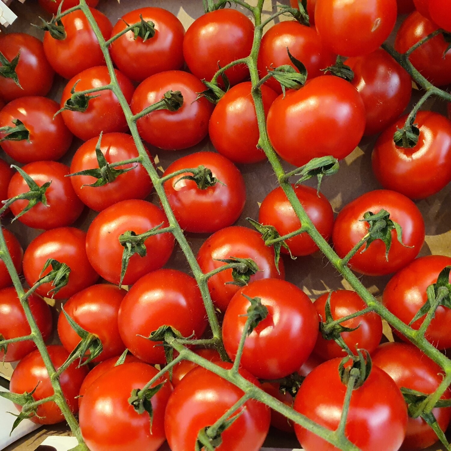 Cherry vine tomatoes 250g