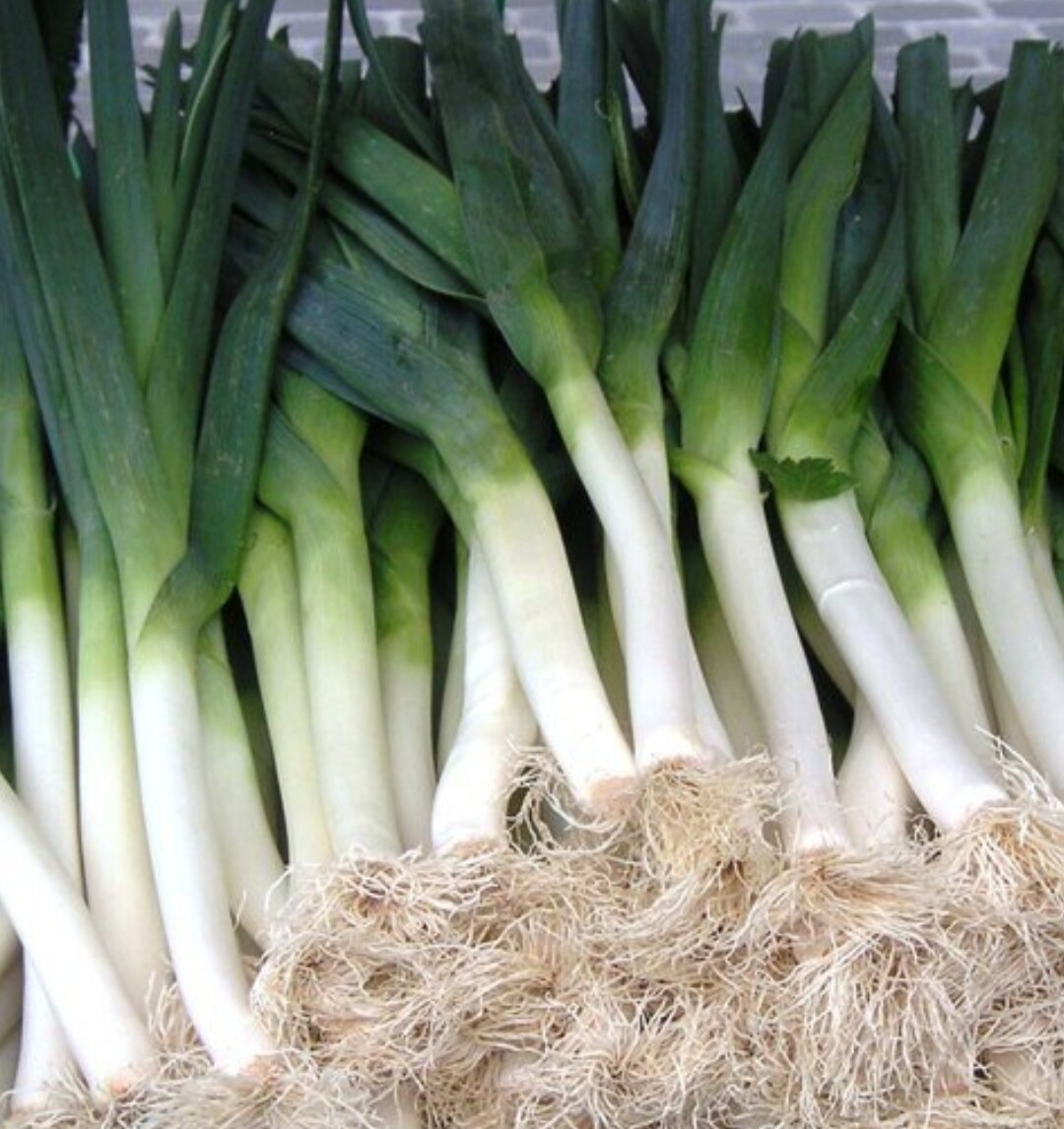 Leek 250g