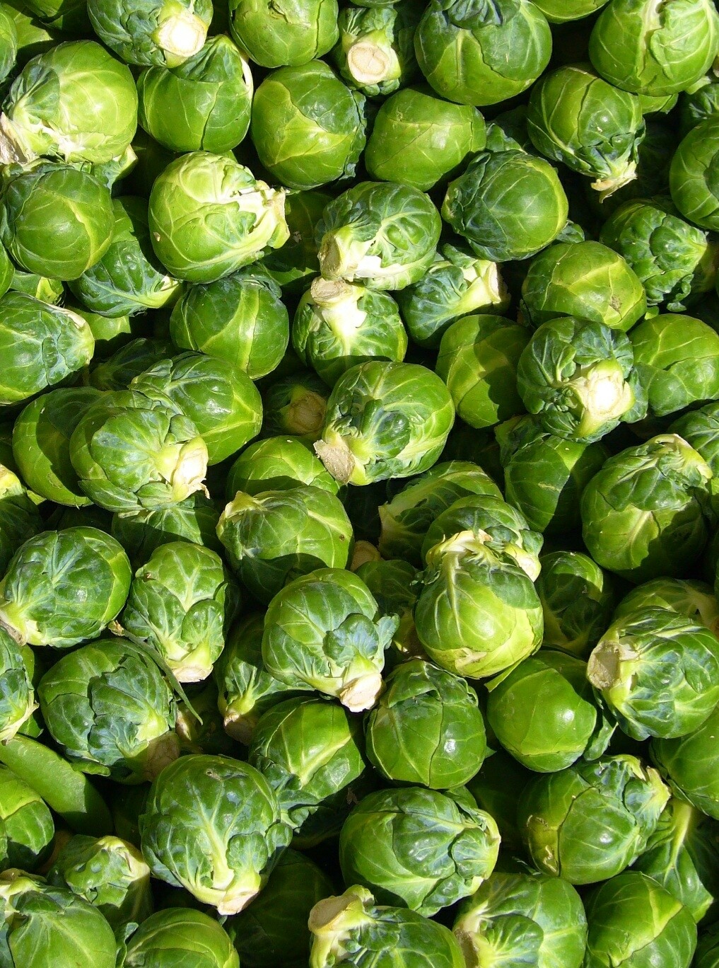 Loose sprouts 250g