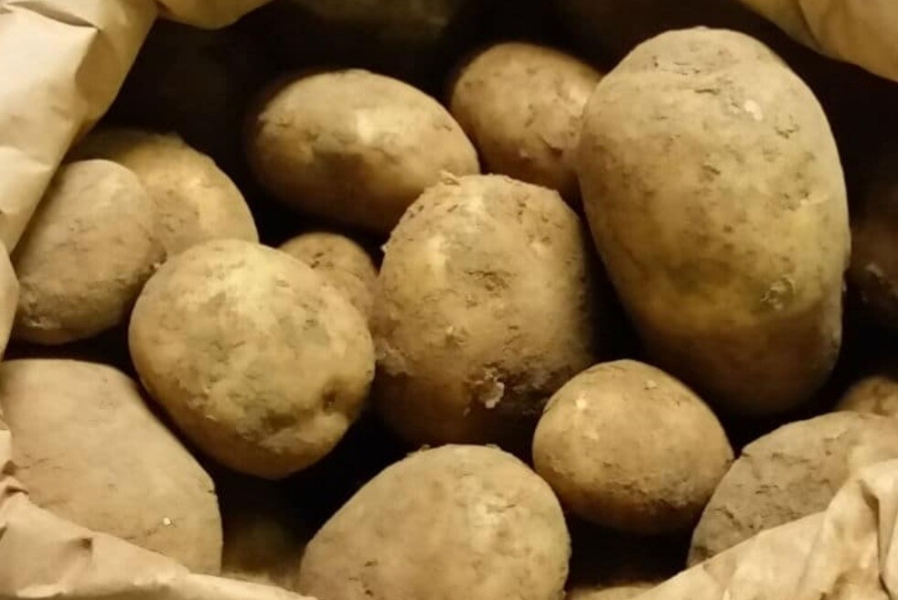 Wilja 2kg