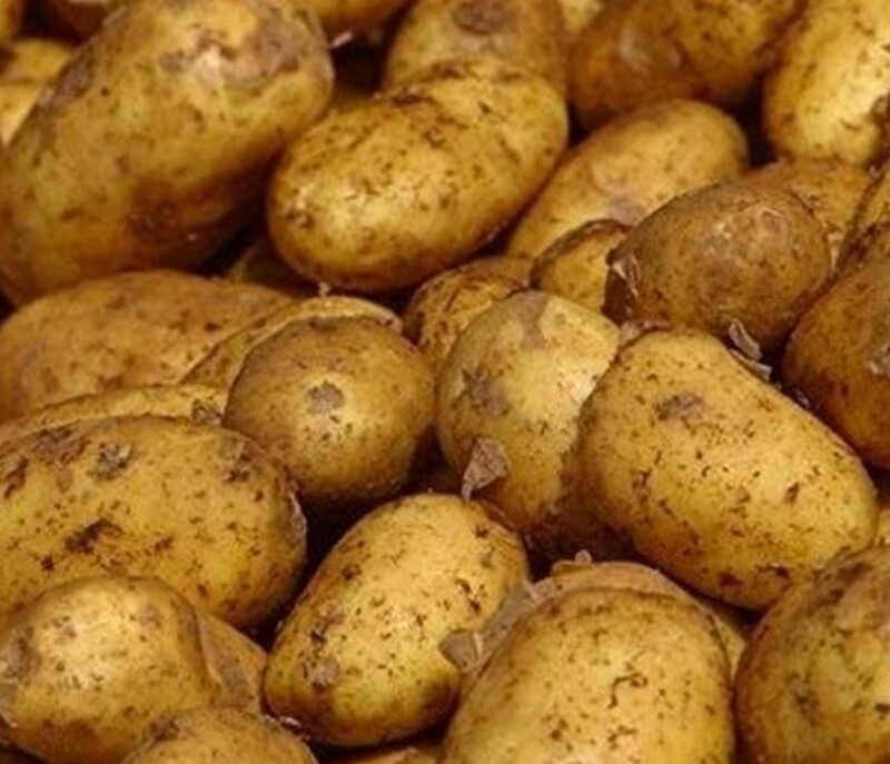 Maris peer new 500g